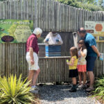 general honey bee day brent and beckys 1