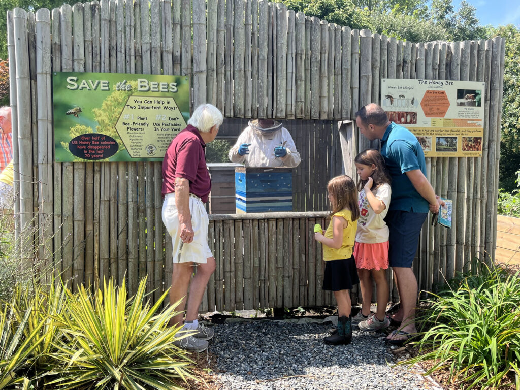 general honey bee day brent and beckys 1