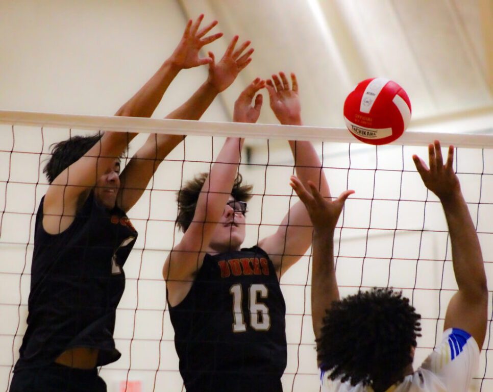 sports ghs boys volleyball