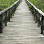 gloucester swan bridge rant