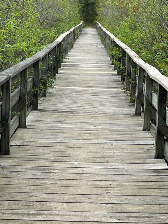 gloucester swan bridge rant