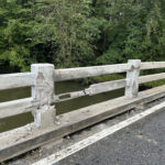 neighbors dragon run bridge