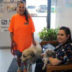 point rabies clinic