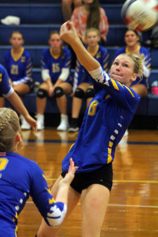 sports mhs volleyball