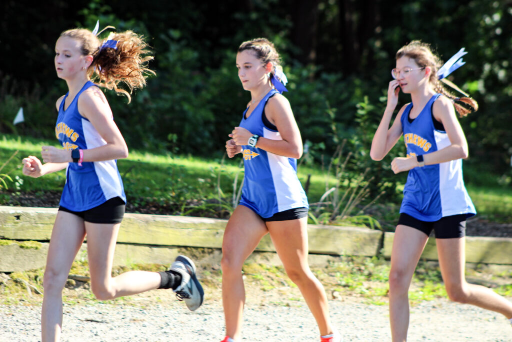 sports mhs xc cut
