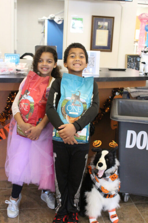 gloucester trick or treat