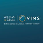 point vims new brand
