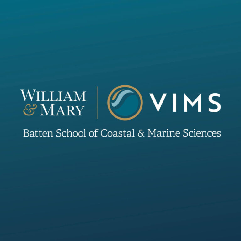point vims new brand