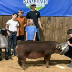 schools 4h animal science