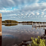 mathews williams wharf