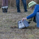 3 screech owl jan release
