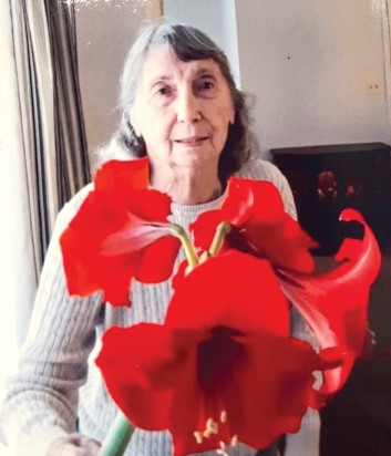 arts great amaryllis race 0