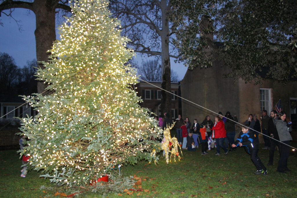 gloucester tree lighting 1