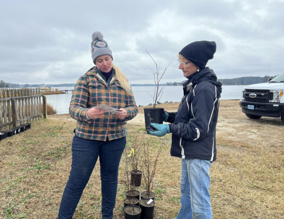 mathews community conservation day.JPG