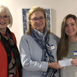 mathews democrats donation