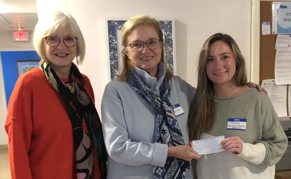 mathews democrats donation