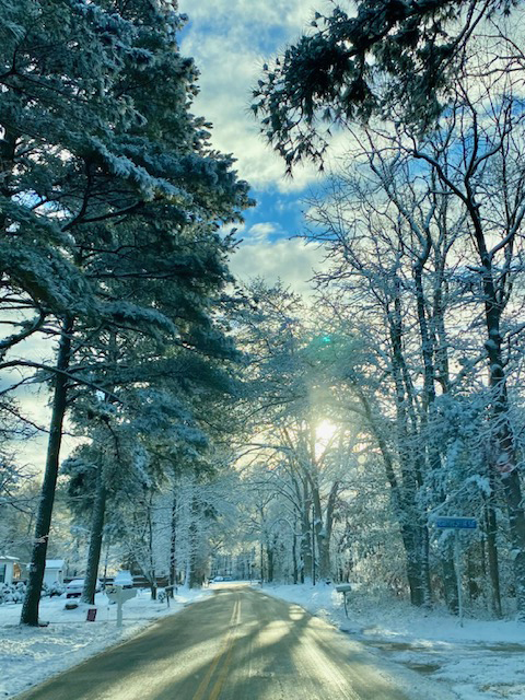 snow bridget sibley 2