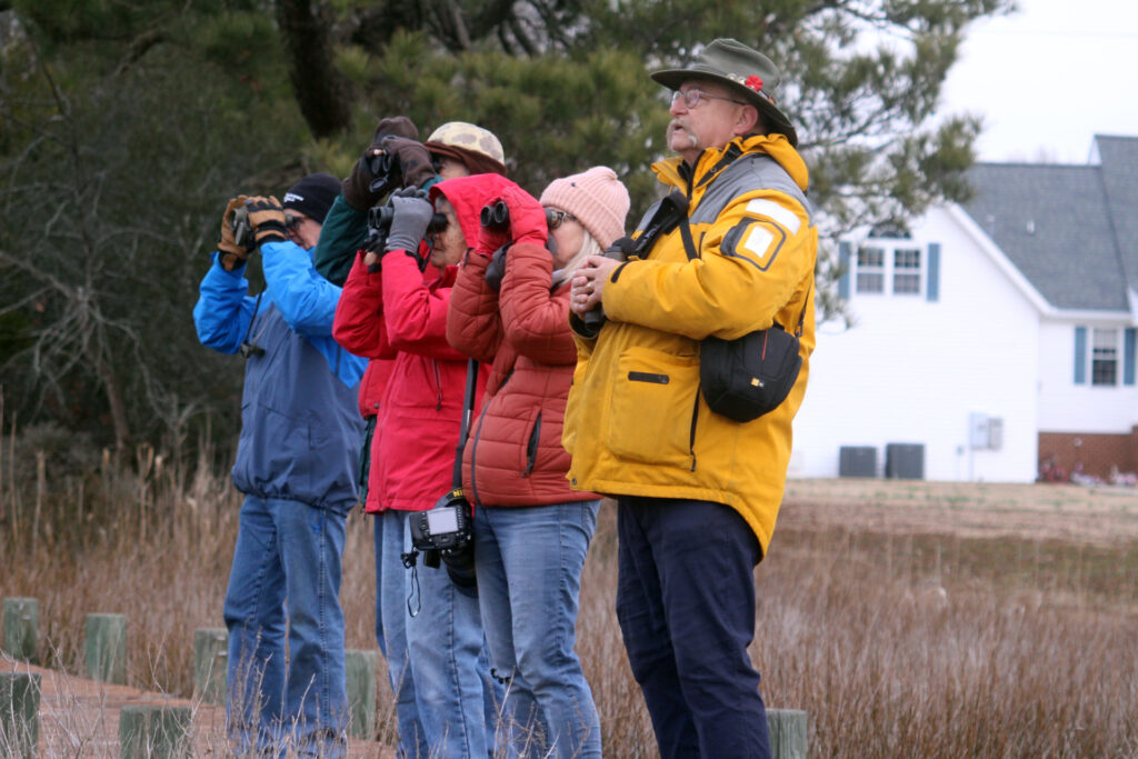 1a mathews bird count