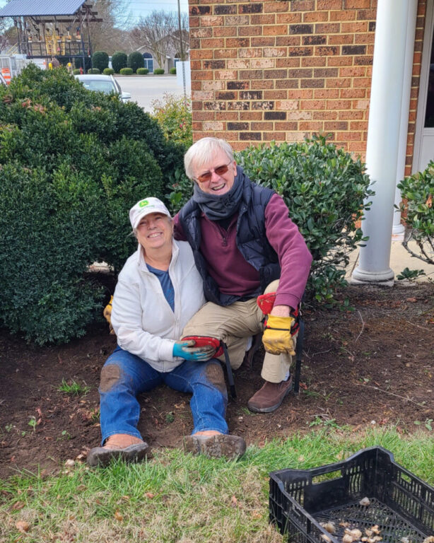 community daffodil club planting