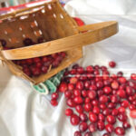 food cranberries rgb