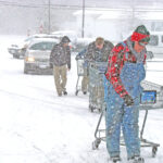 glimpses pepper love at food lion dec 2010