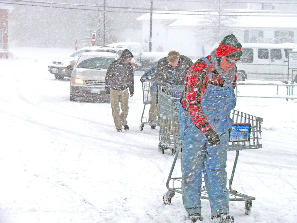 glimpses pepper love at food lion dec 2010