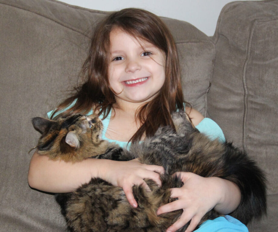 gloucester emersyn cats 1