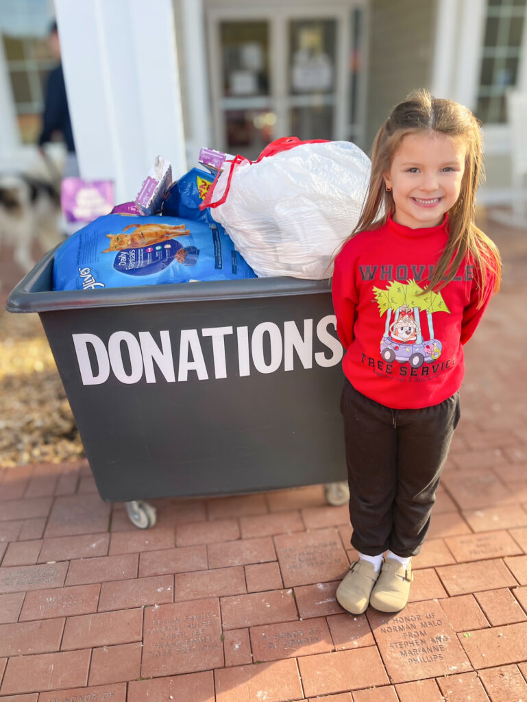 gloucester emersyn cats 2