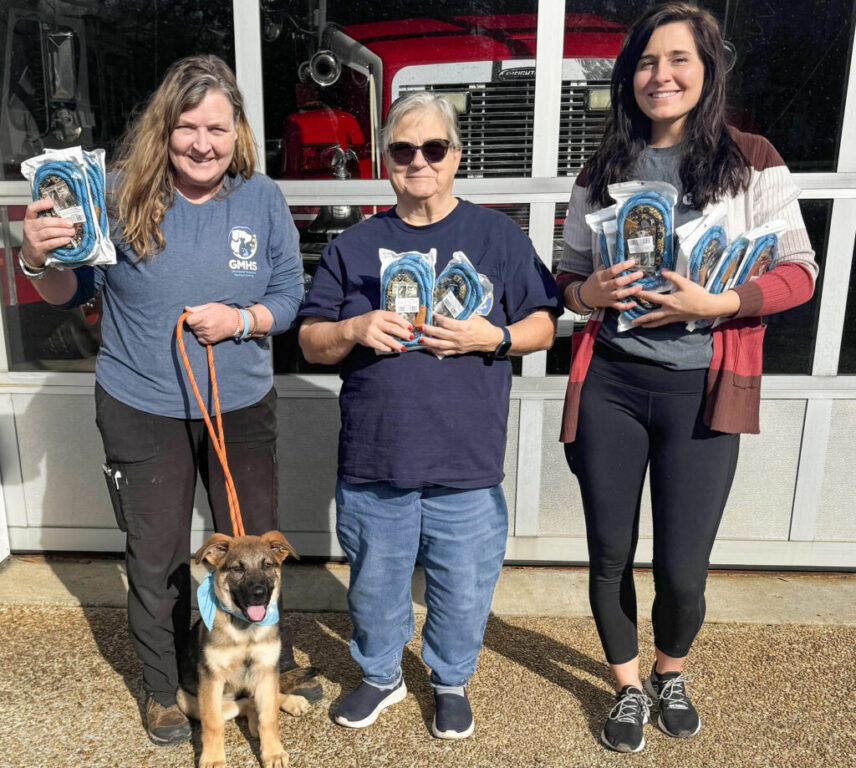 pets or record gmhs leashes