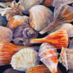 arts bay school artist of month krapfl rgb