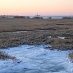 ice new point 2-9-2026 (4)