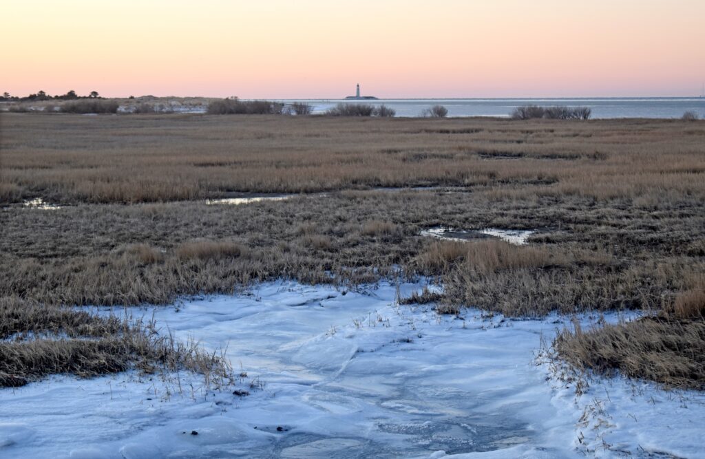 ice new point 2-9-2026 (4)