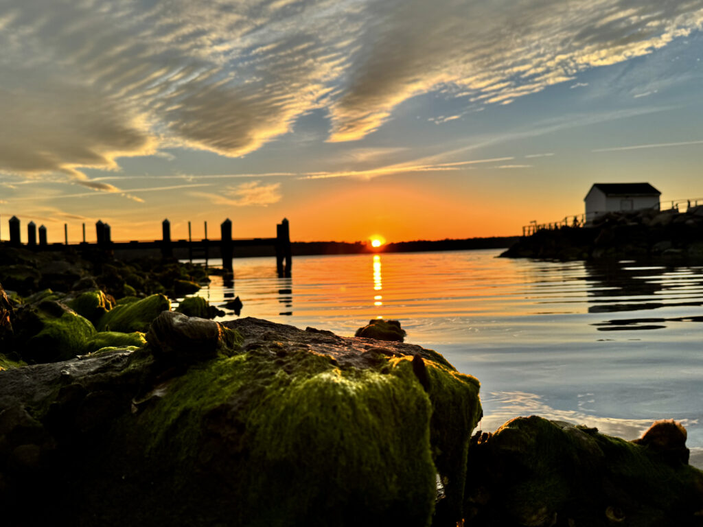 scenic springer 3