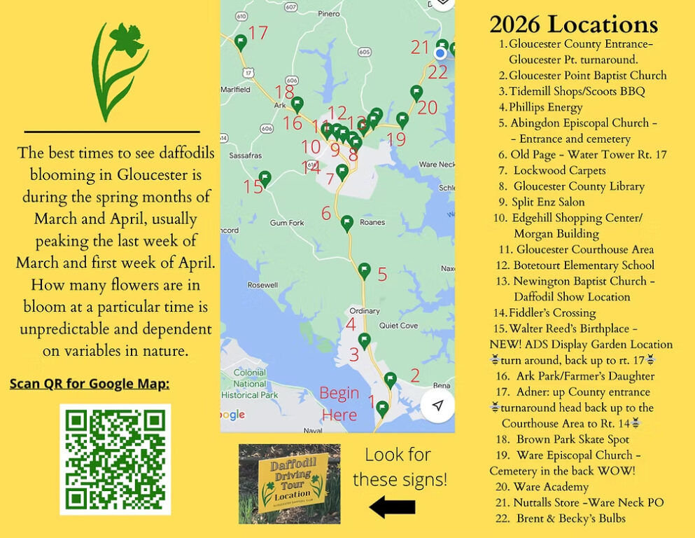 Daffodil Driving Tour 2026