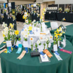community daffodil show