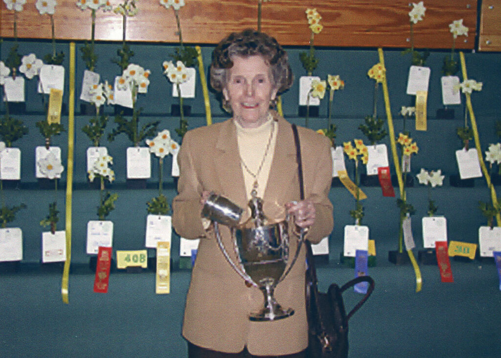 daffodil 2002 elizabeth brown037 rgb