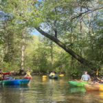 events kayak tours