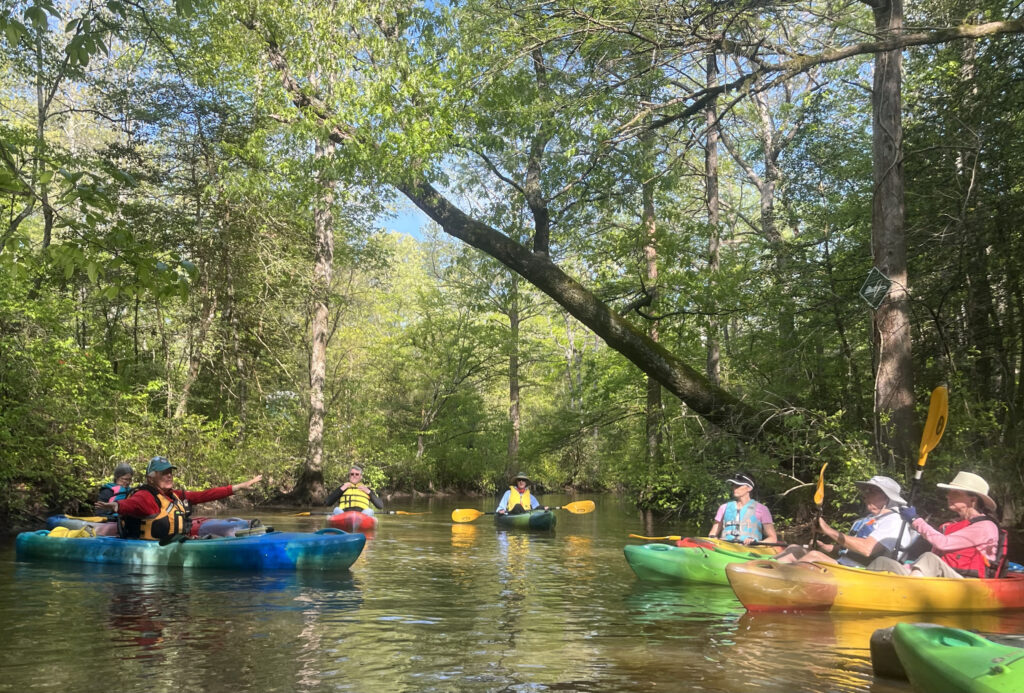 events kayak tours