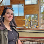 food eggs virginia gray rgb