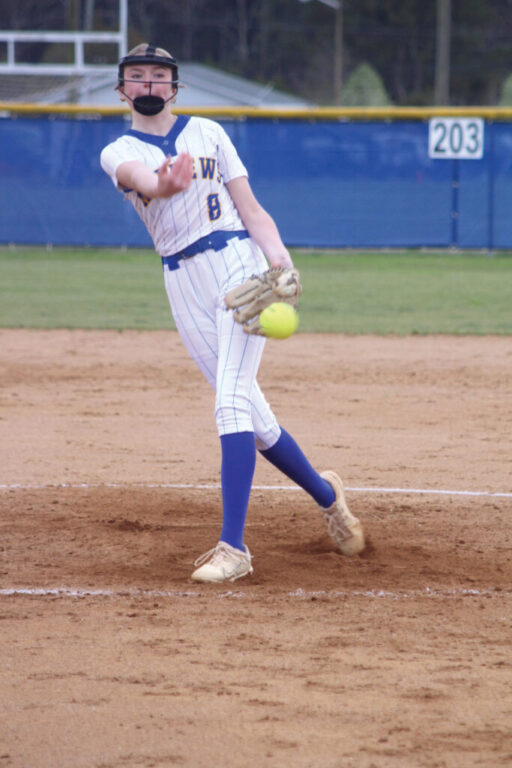 sports mhs softball rgb