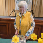 community daffodil club vds show winners bowditch