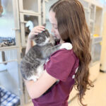 gloucester gmhs empty the shelters