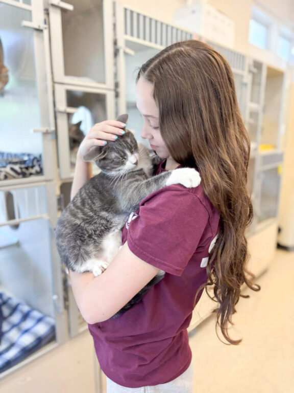 gloucester gmhs empty the shelters