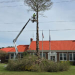 mathews vdot project prelim