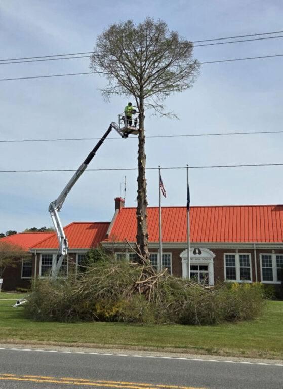 mathews vdot project prelim