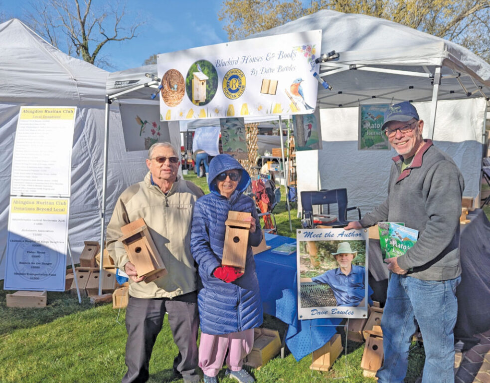 point blue bird houses rgb