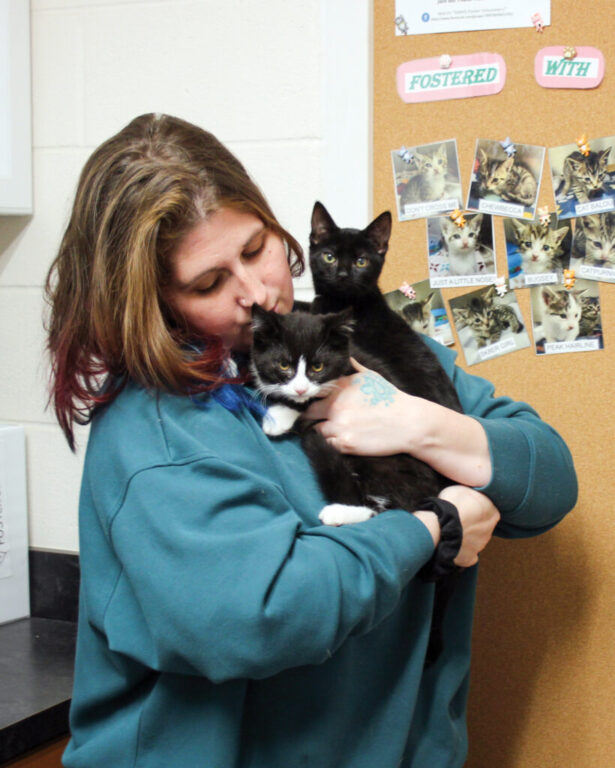 rgb spring kitten season 1