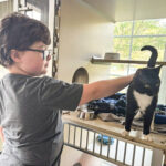 schools pawsitive impact club