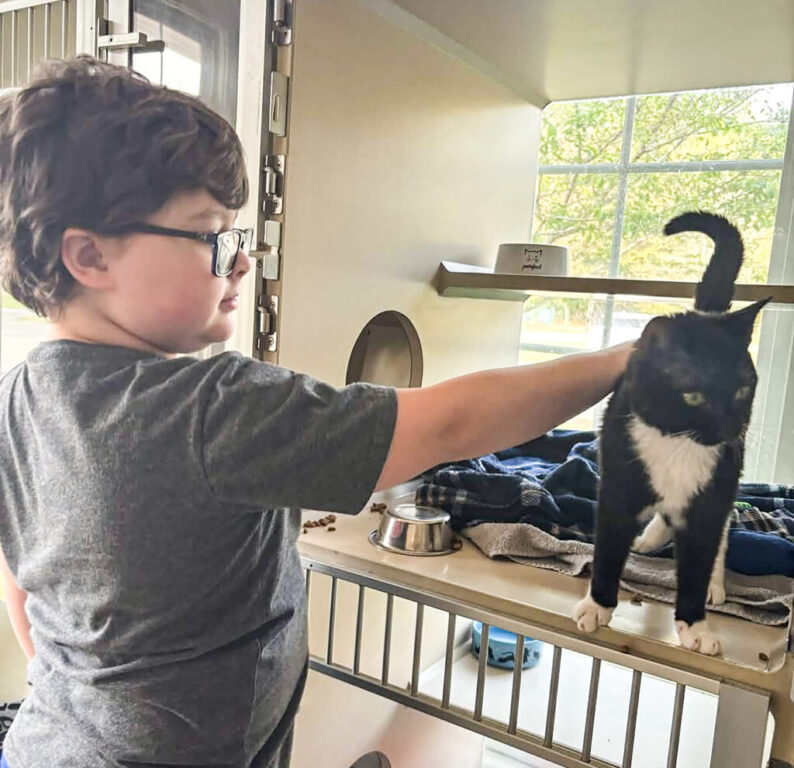 schools pawsitive impact club