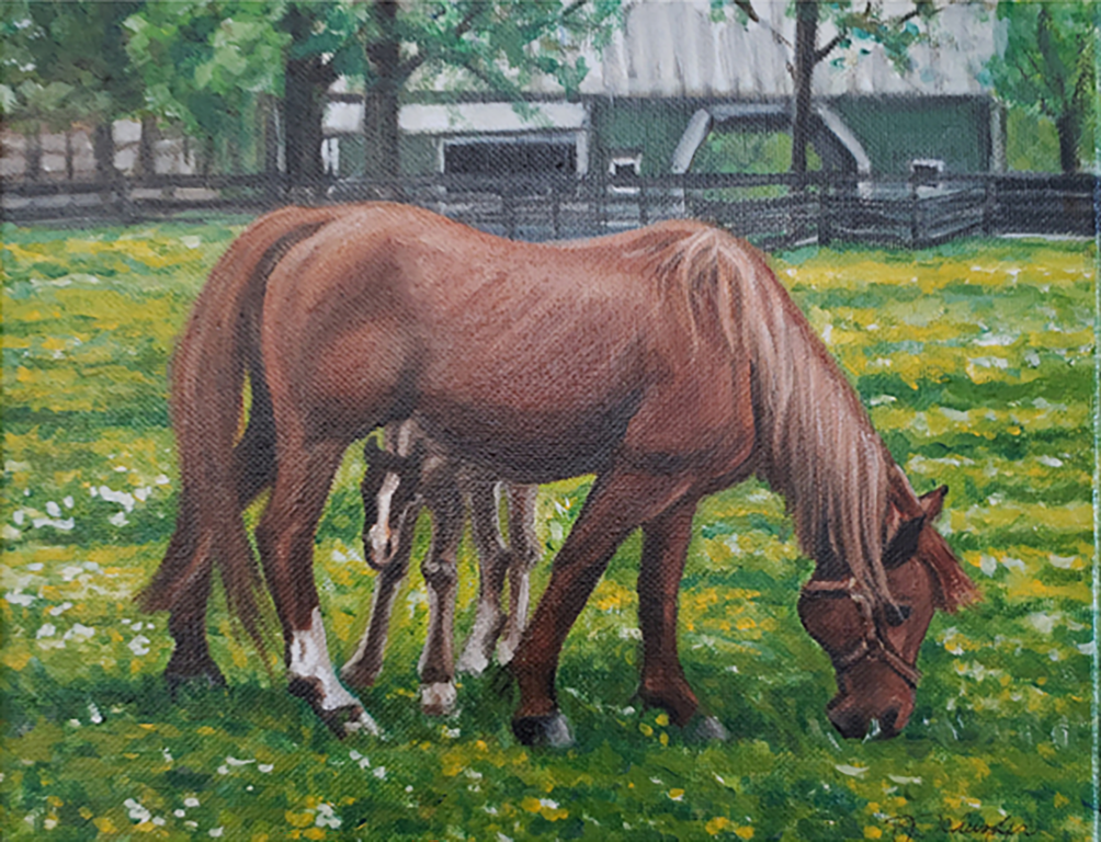 arts bay school rural life exhibit schuszler
